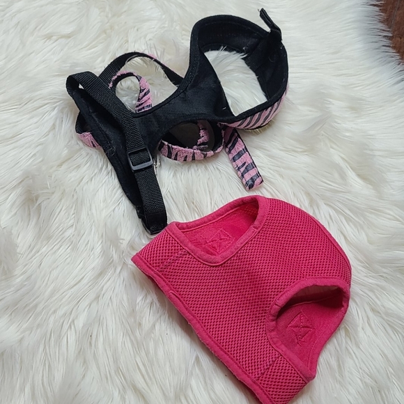 Bundle of happiness and leash - Picture 2 of 3